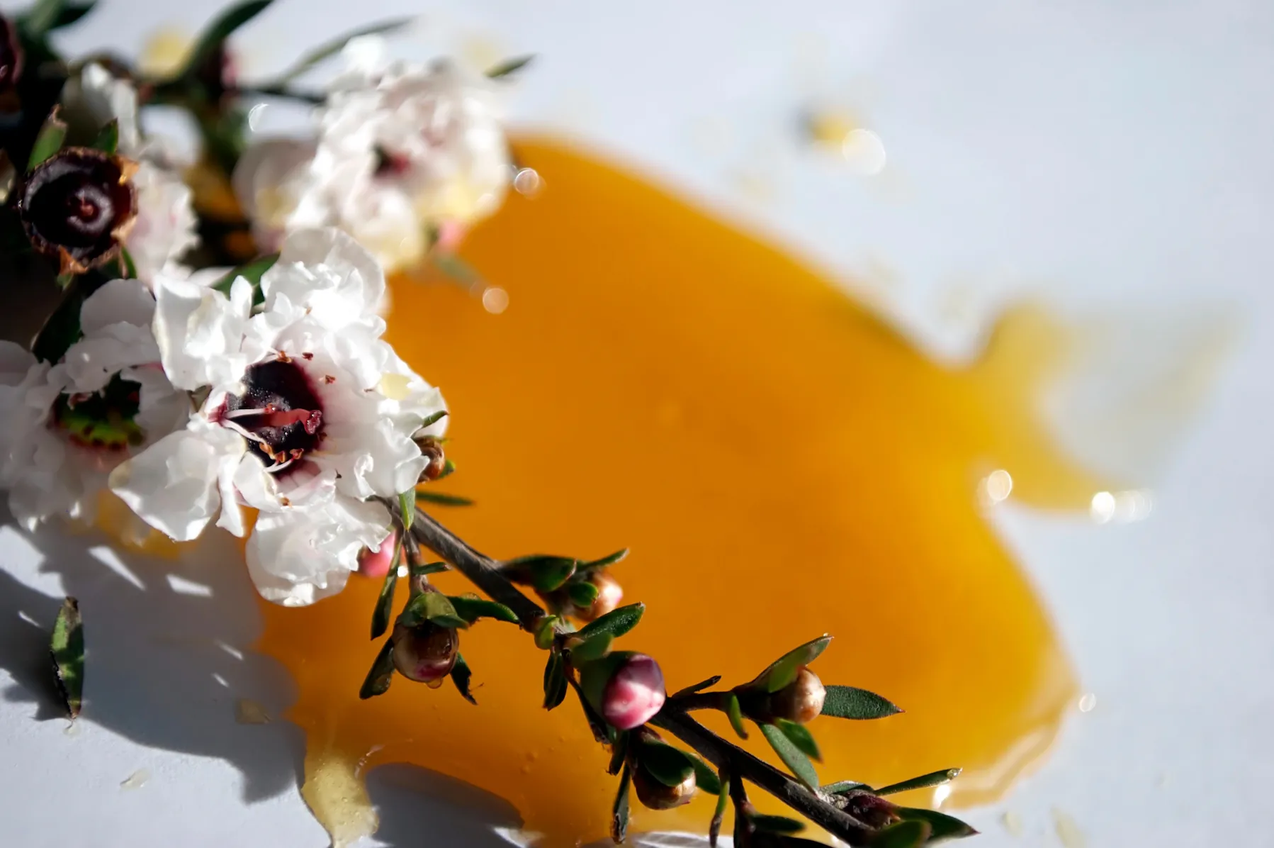 Therapeutic manuka honey can be used to get rid of harmful oral bacteria and can treat wounds. 