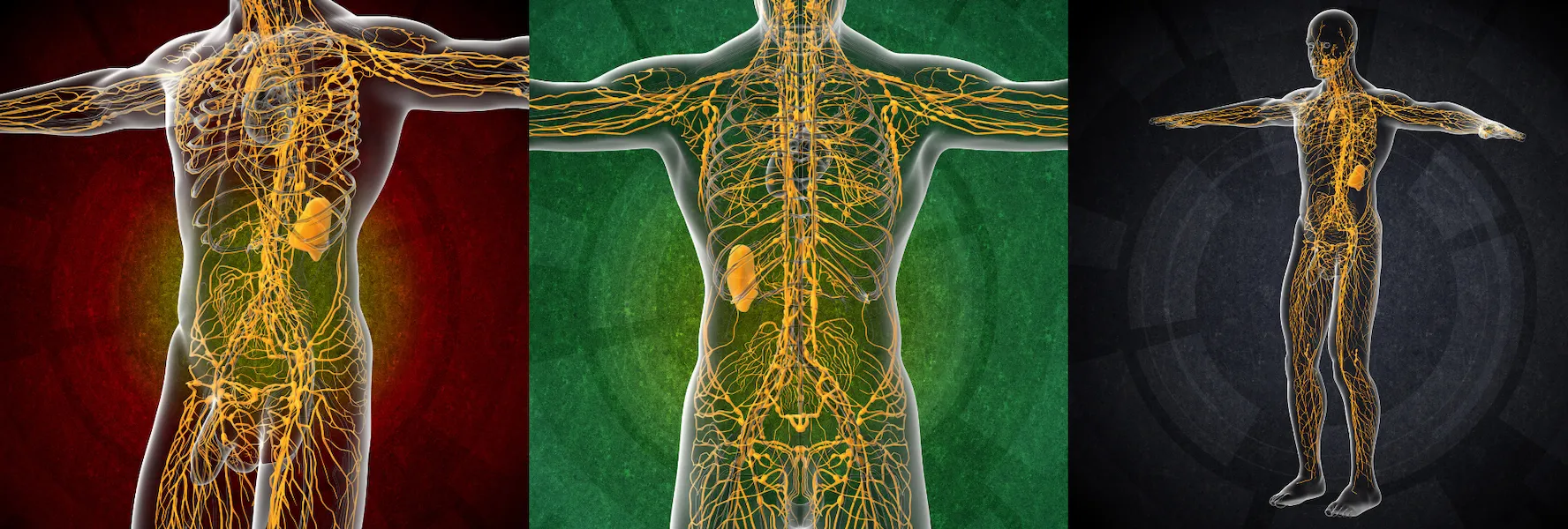 A vibration machine is a helpful conservative treatment for those who experience certain health issues.