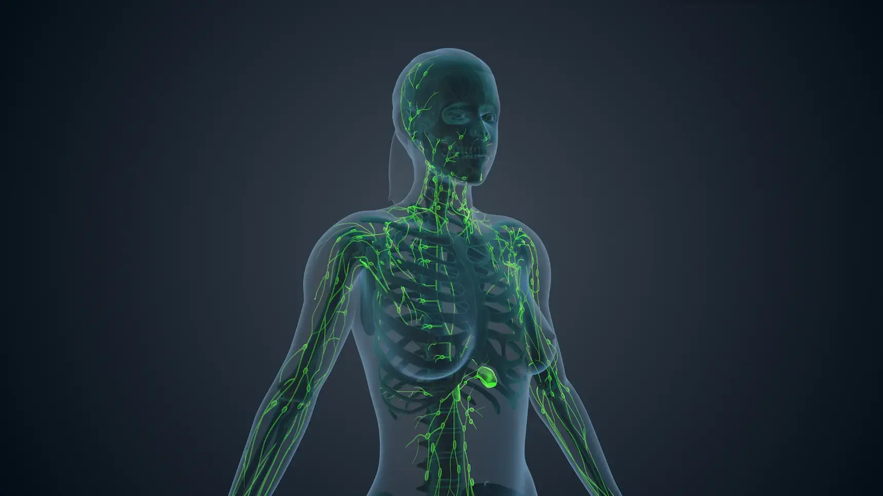 Before investing in a vibration plate it is best to consult with health specialists.